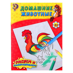 ��������� �5, 12���., �����-����, 