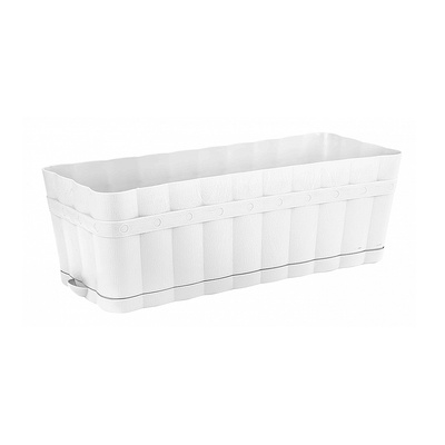 ����� 6�, 