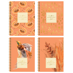 �������� ������ �6, BG, 