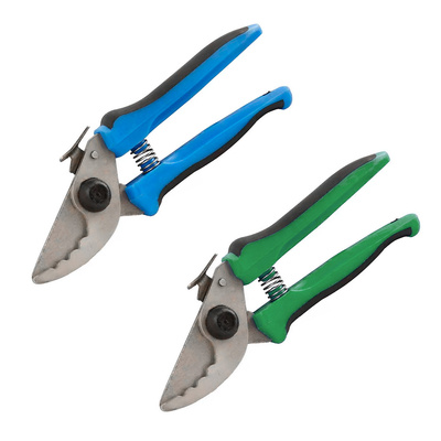  ,  19, +,   10 , ,  . 