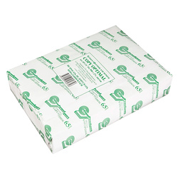 ������ ������ �4, 65�&frasl;�&sup2;, ������� CIE 90%, 500�