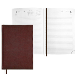 ���������� 2026�. �5, ������, Attomex, 