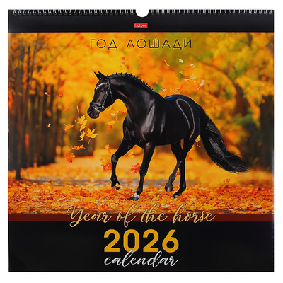 ��������� ��������� ���������� 2026�. 12�, �� ������ � �������, 445��*445��, Hatber, 