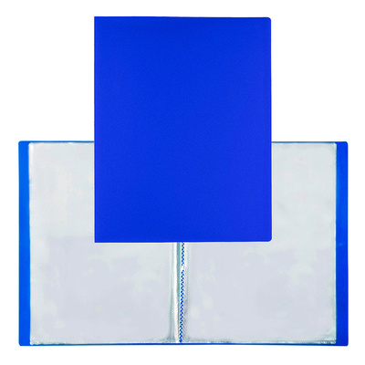 Папка с файлами А4, на 40 ф., Expert Complete,