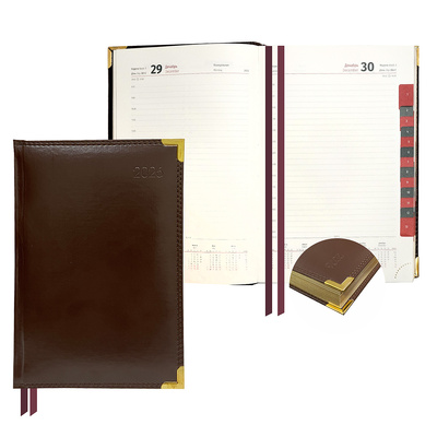  2026. 5, , Delucci, 184, 215*150,   , ,  , ,  ,  ,  .