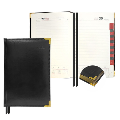  2026. 5, , Delucci, 184, 215*150,   , ,  , ,  ,  ,  .