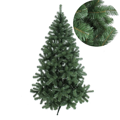 ���� ������������� 2,1�, Morozco, 