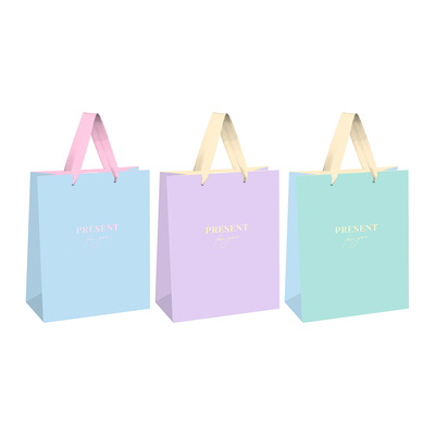 Пакет подарочный матовый, картон ламинированный, 18см*10см*23см, MESHU,