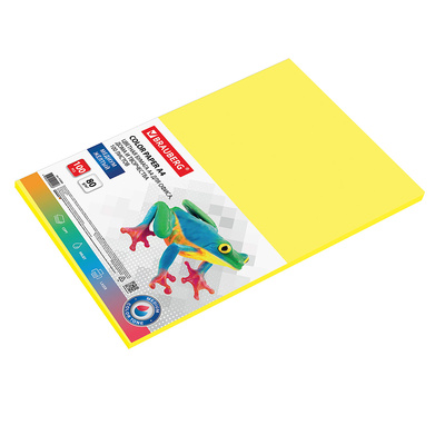 ������ ������� Brauberg, �4, 80�&frasl;�&sup2;, 100�, ������