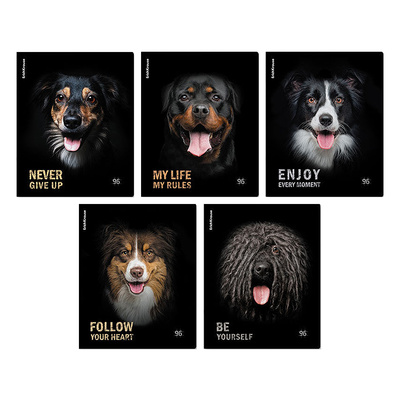 ������� 96�, �5, ������, � ������, Erich Krause, 