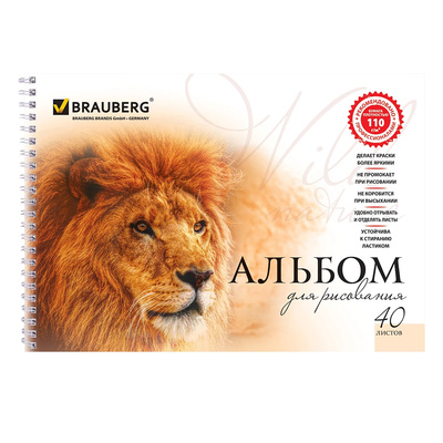 ������ ��� ��������� 40�, �4, Brauberg, 