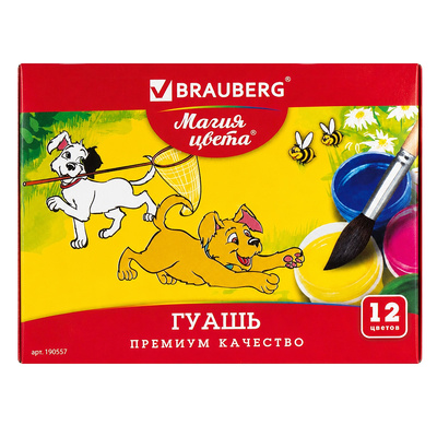 ����� 12��, ����� ������� 20��, Brauberg, 
