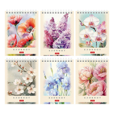 ������� �6, 40�, Hatber, 